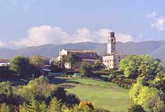 Conegliano
