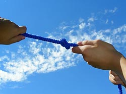 Guide to Network