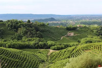 Provinz Treviso